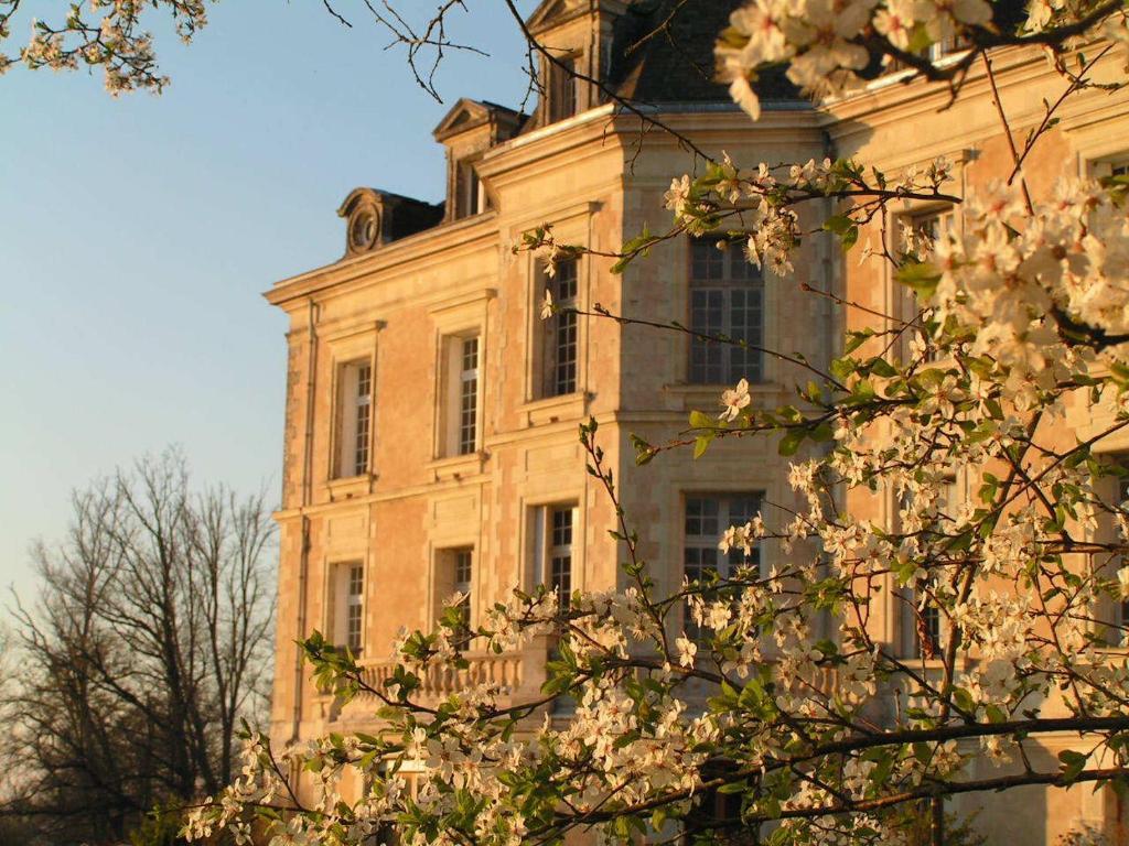 Chateau De La Haye Bed and Breakfast Contigné Zewnętrze zdjęcie